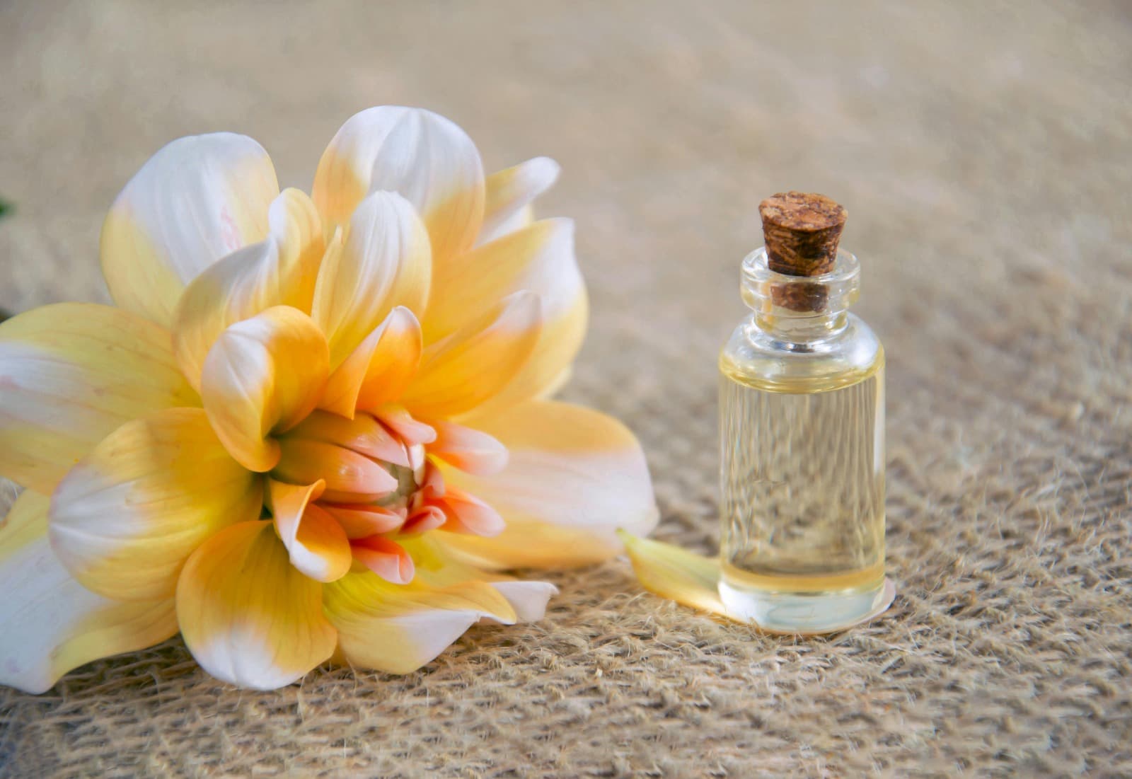 Explore Kilian Angels' Share Sample Price &amp; Experience Pure Opulence