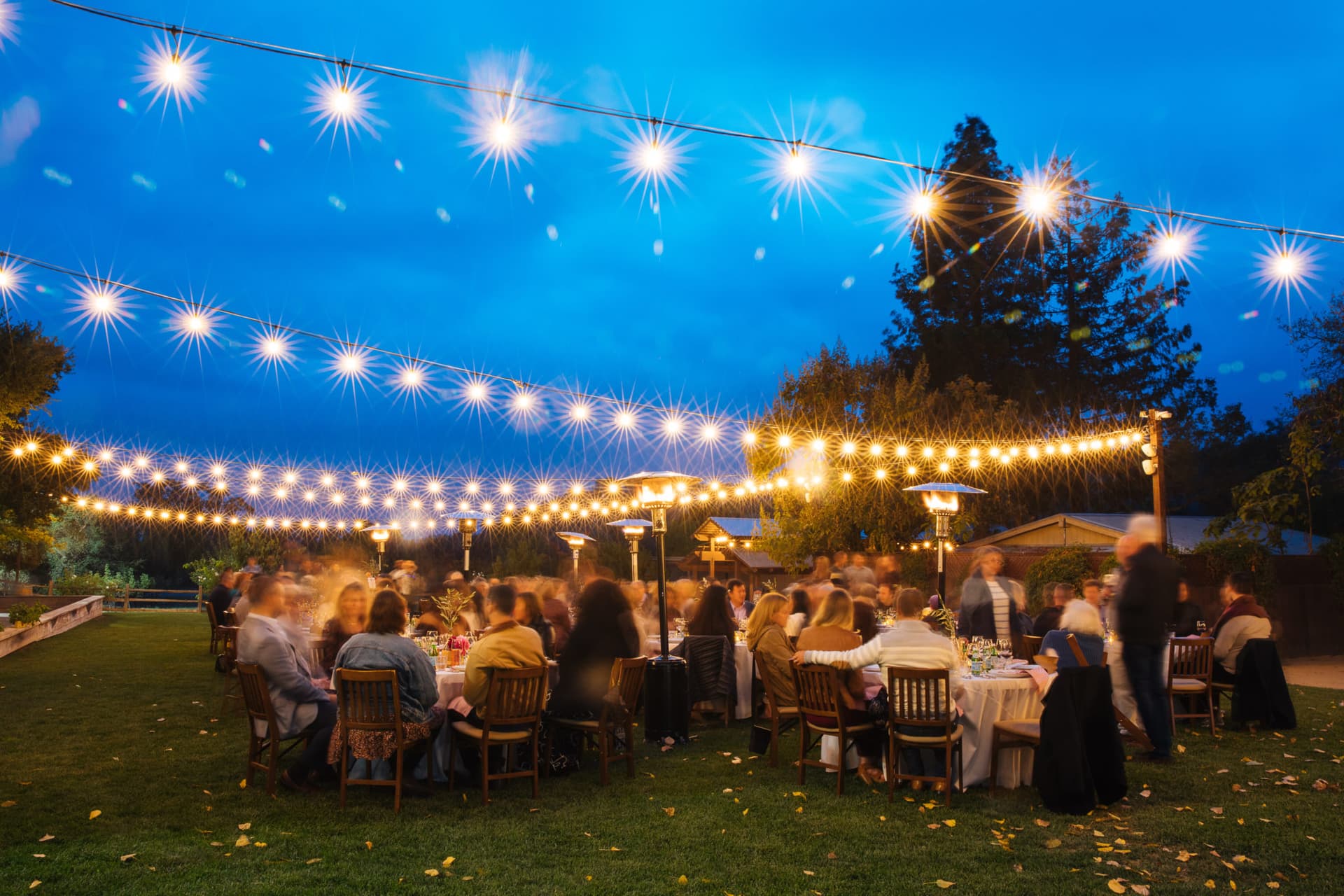 Clarksburg Events Calendar: What’s Happening in the Delta Wine Region