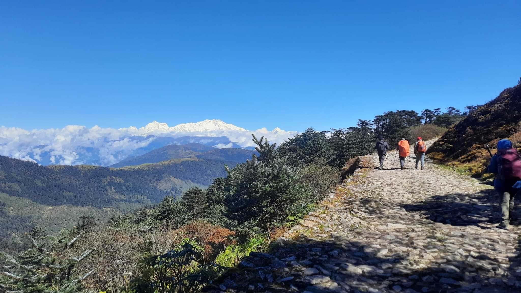 Explore Untouched Himalayan Trails with Sandakphu Trek’s Goechala Trek
