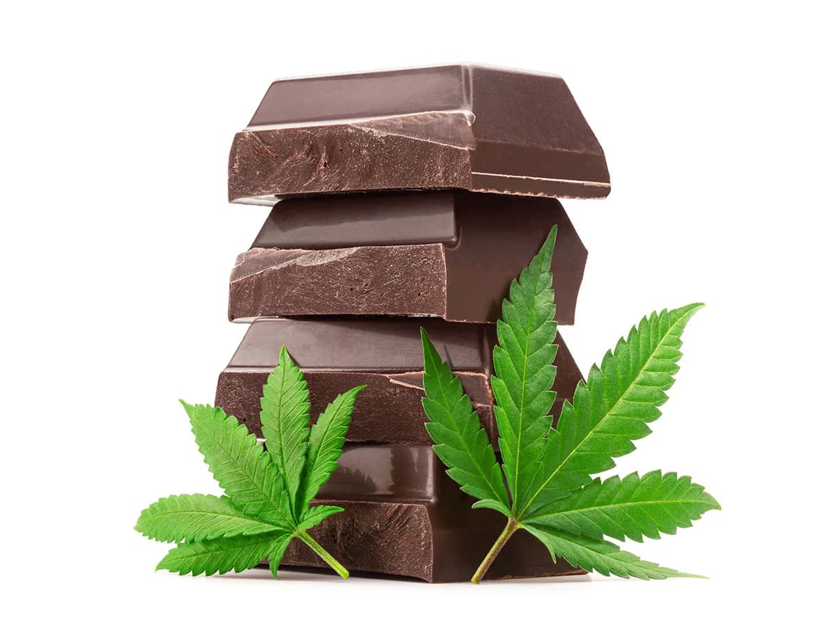 Miami Rave: Experience the Ultimate Premium Infused Treats
