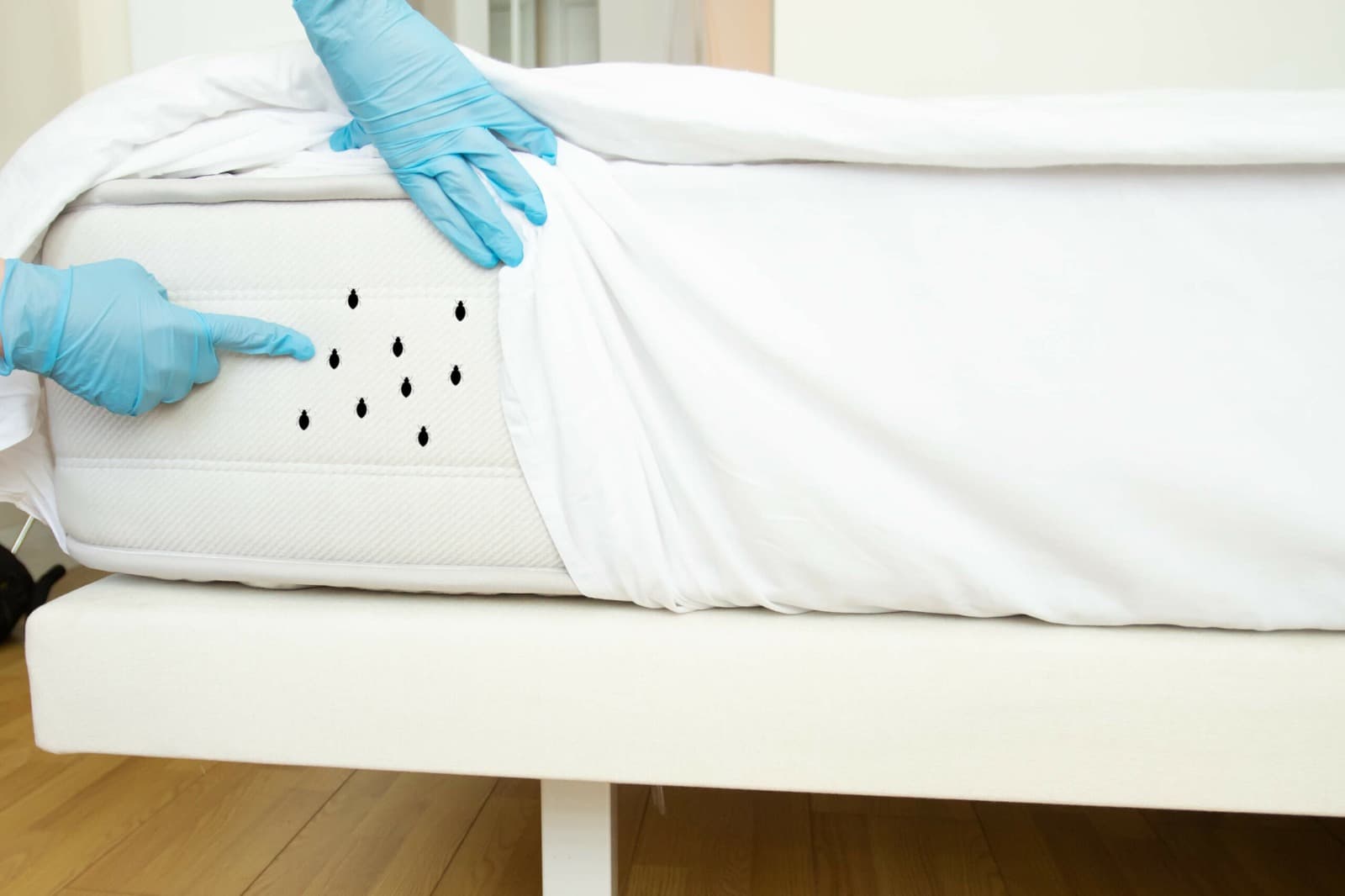 Mattress Cleaning Dubai Service – Perfect for Homes &amp; Hotels