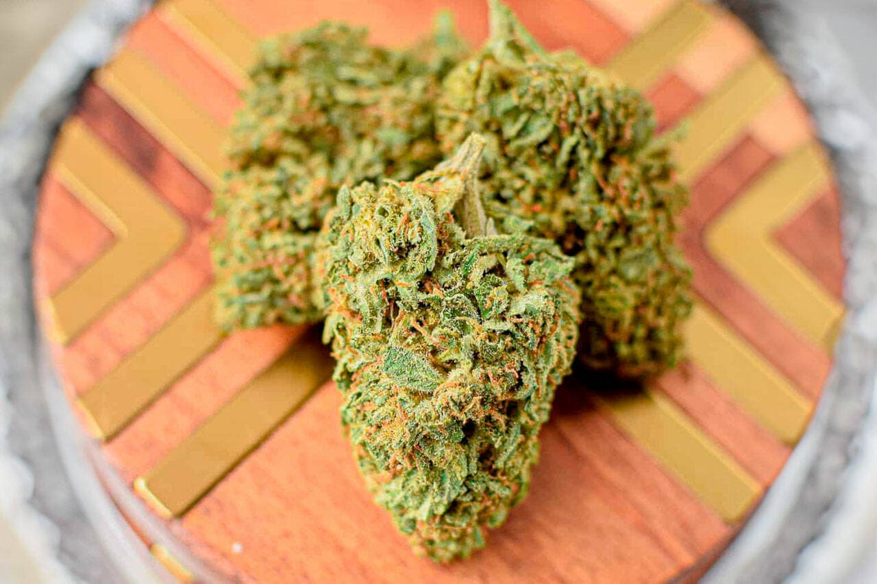 Albino Penis Envy Specials at Bud Cargo – Powerful Mushrooms Shipped Safely