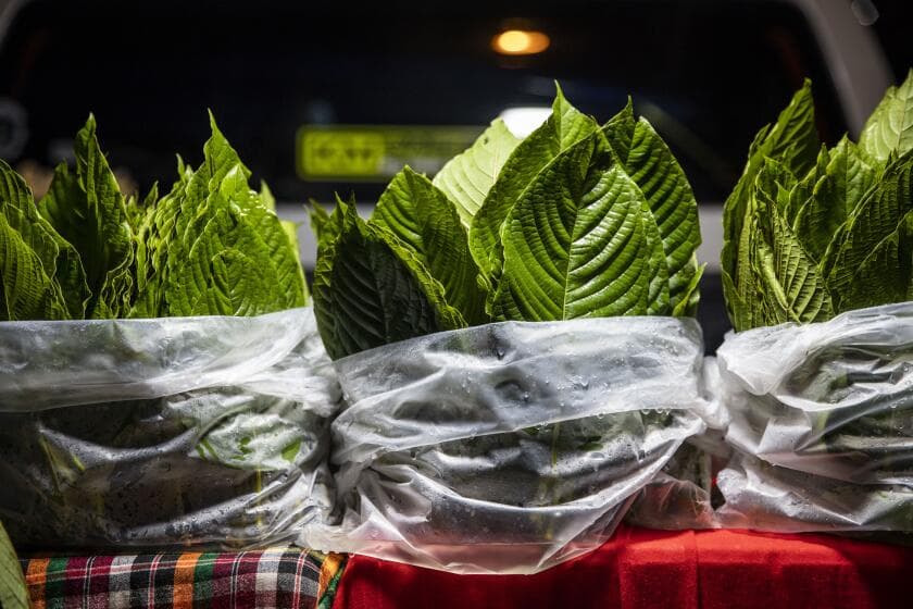 Buy Kratom Thailand: Tips for First-Time Buyers