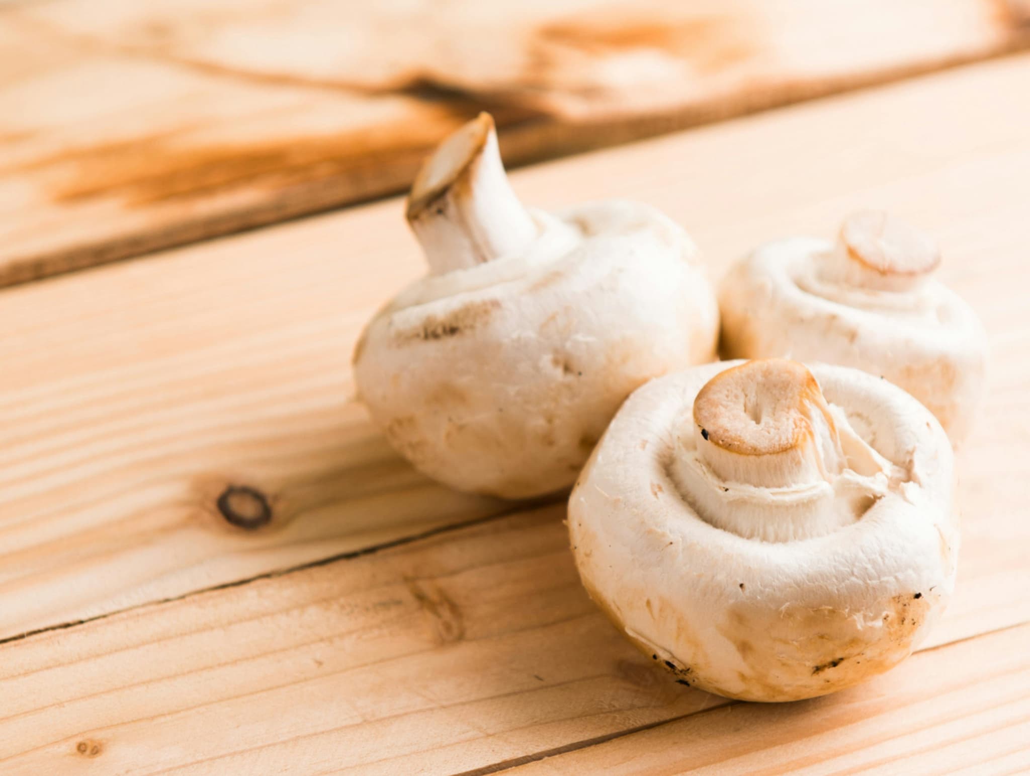 GOURMET COOKING TIPS: BRINGING OUT THE BEST IN MUSHROOMS