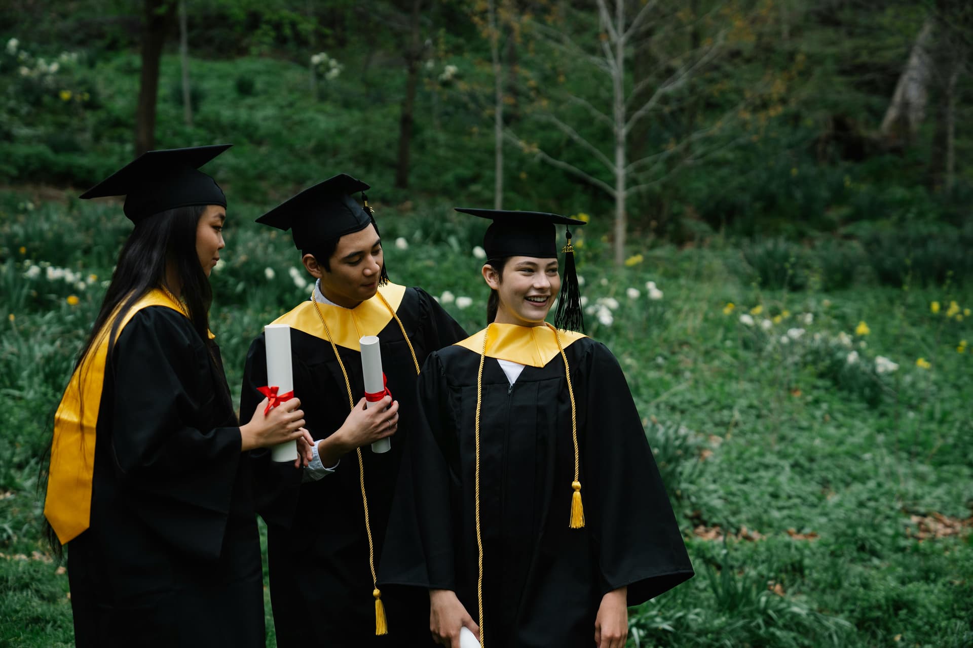 Exam Support Solutions for Every IT Certification