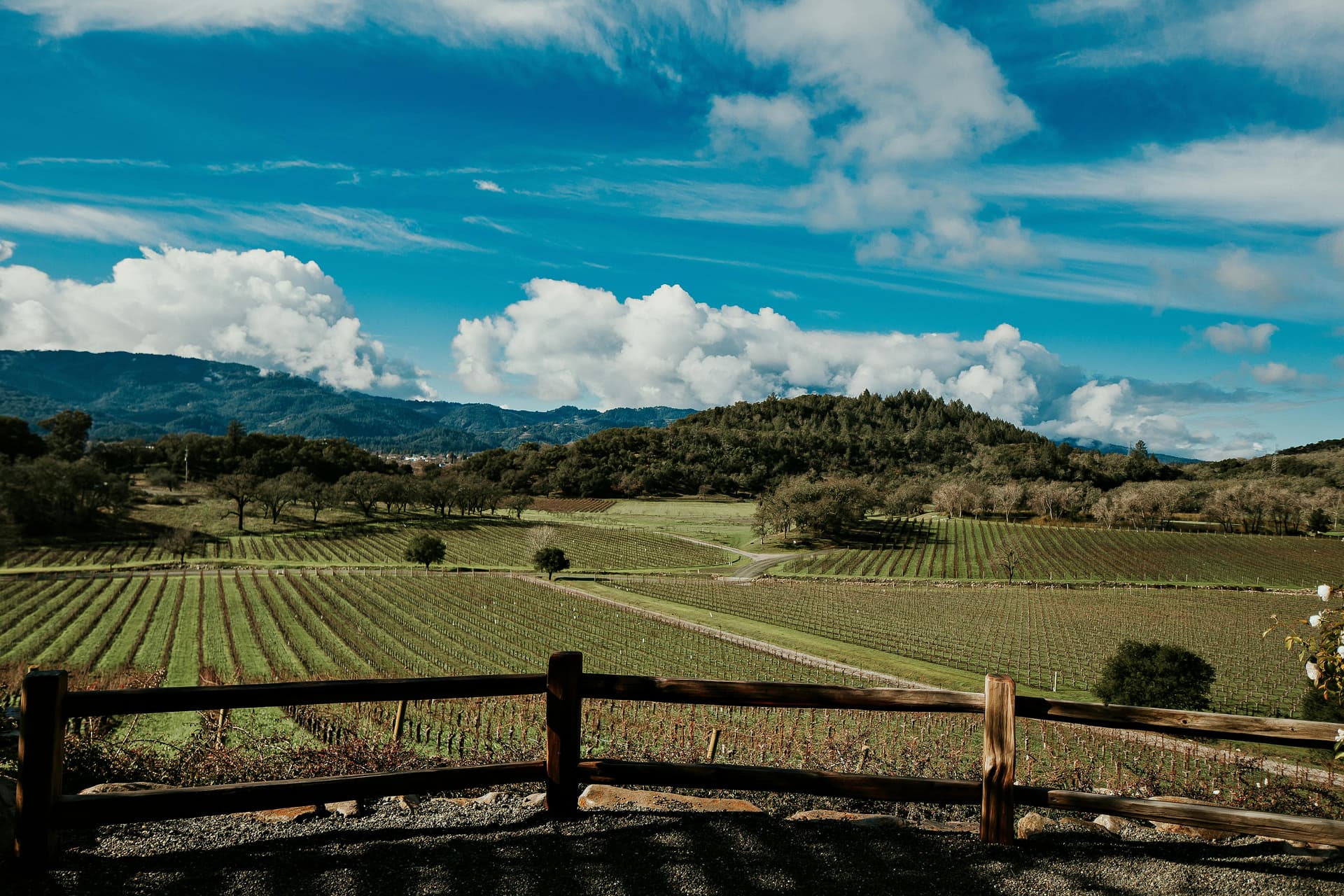Clarksburg CA: California’s Most Underrated Wine Region