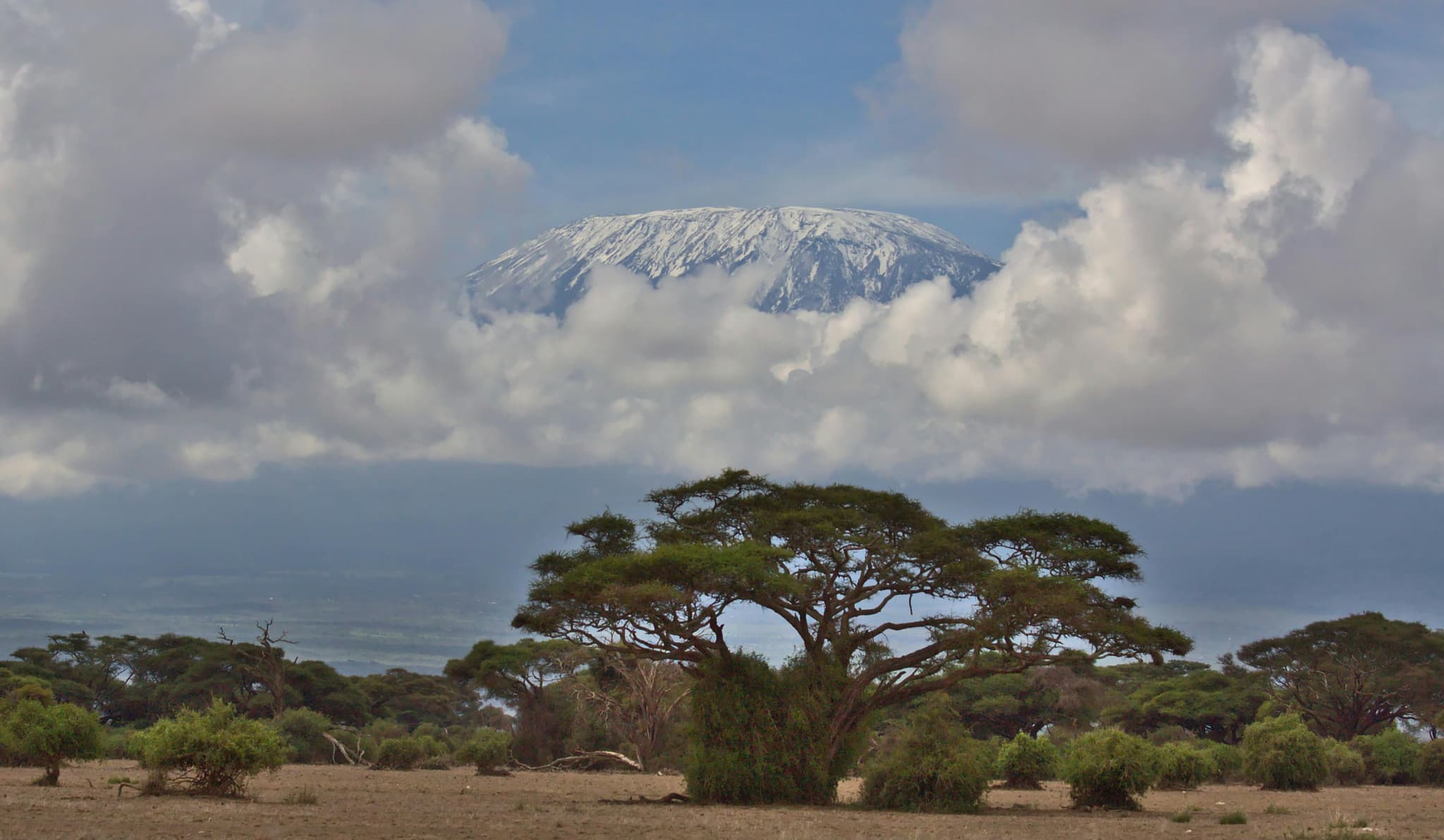 Family-Friendly Tanzania Safari Tours for All Ages