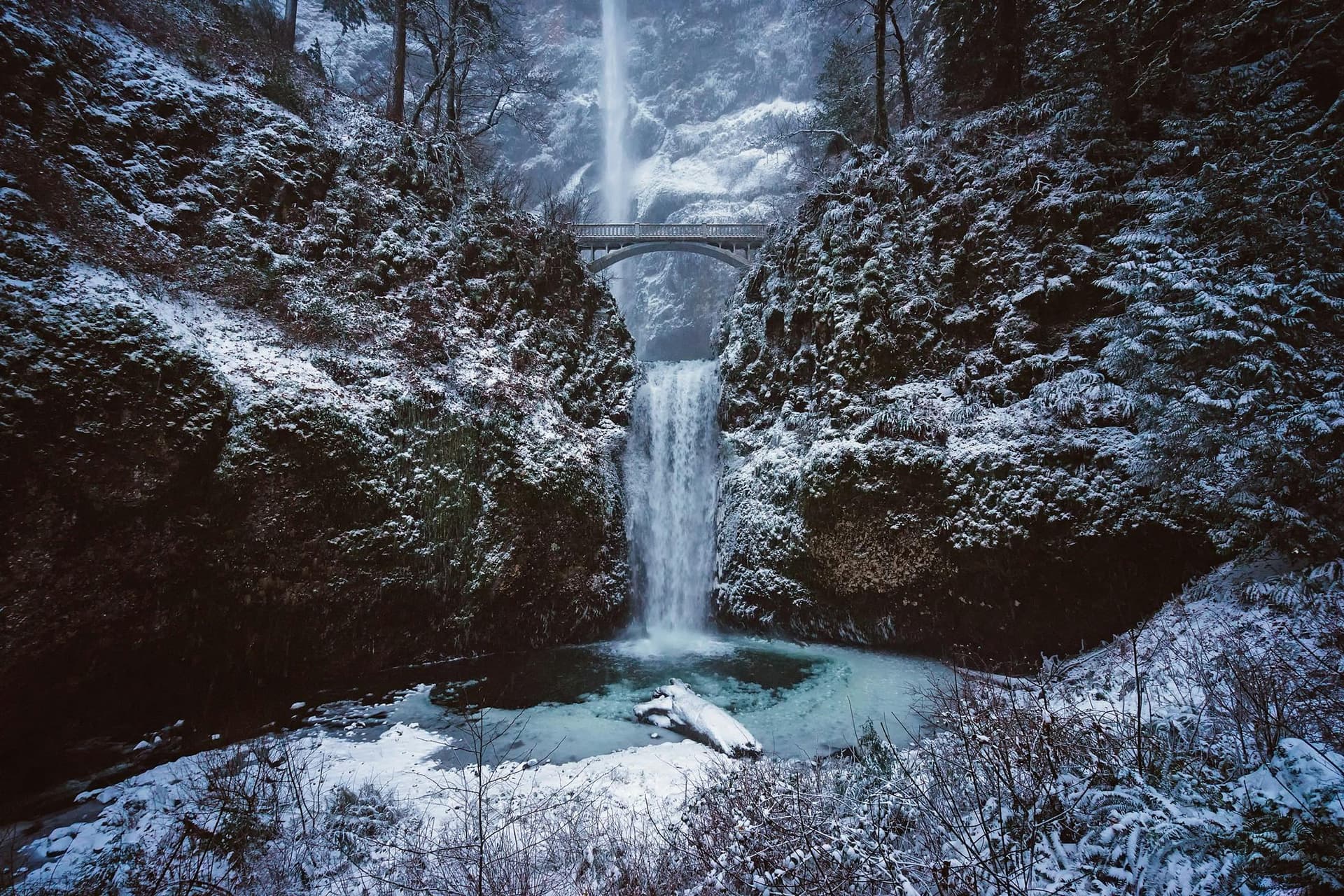 Top Things to See in Multnomah: Waterfalls and Trails