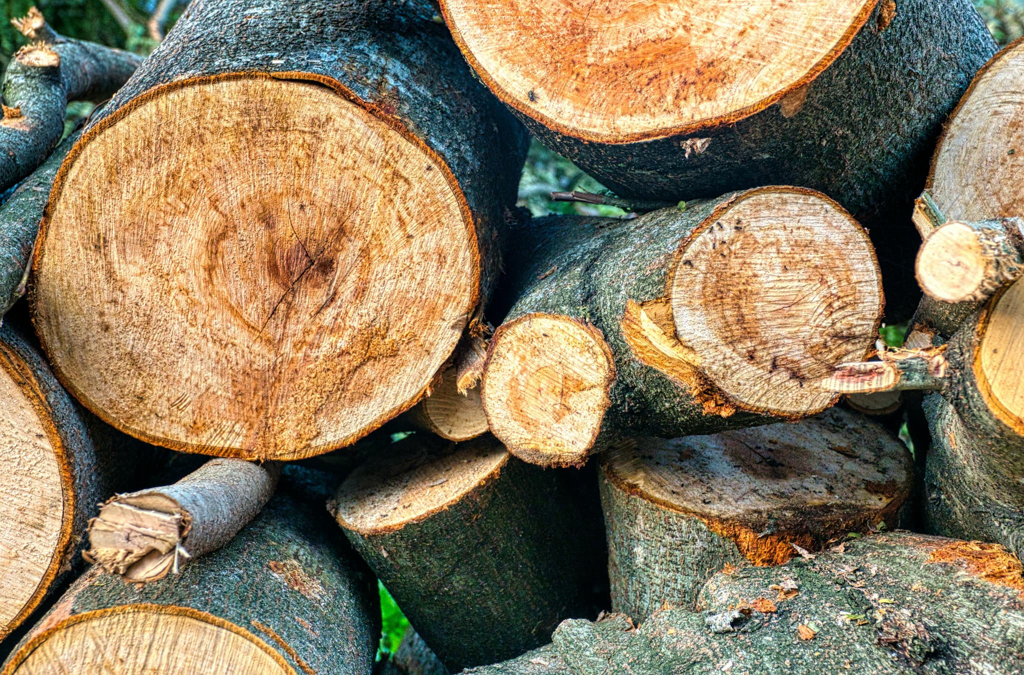 High-Quality Biomass Briquettes Poland: Sustainable Heating Solutions