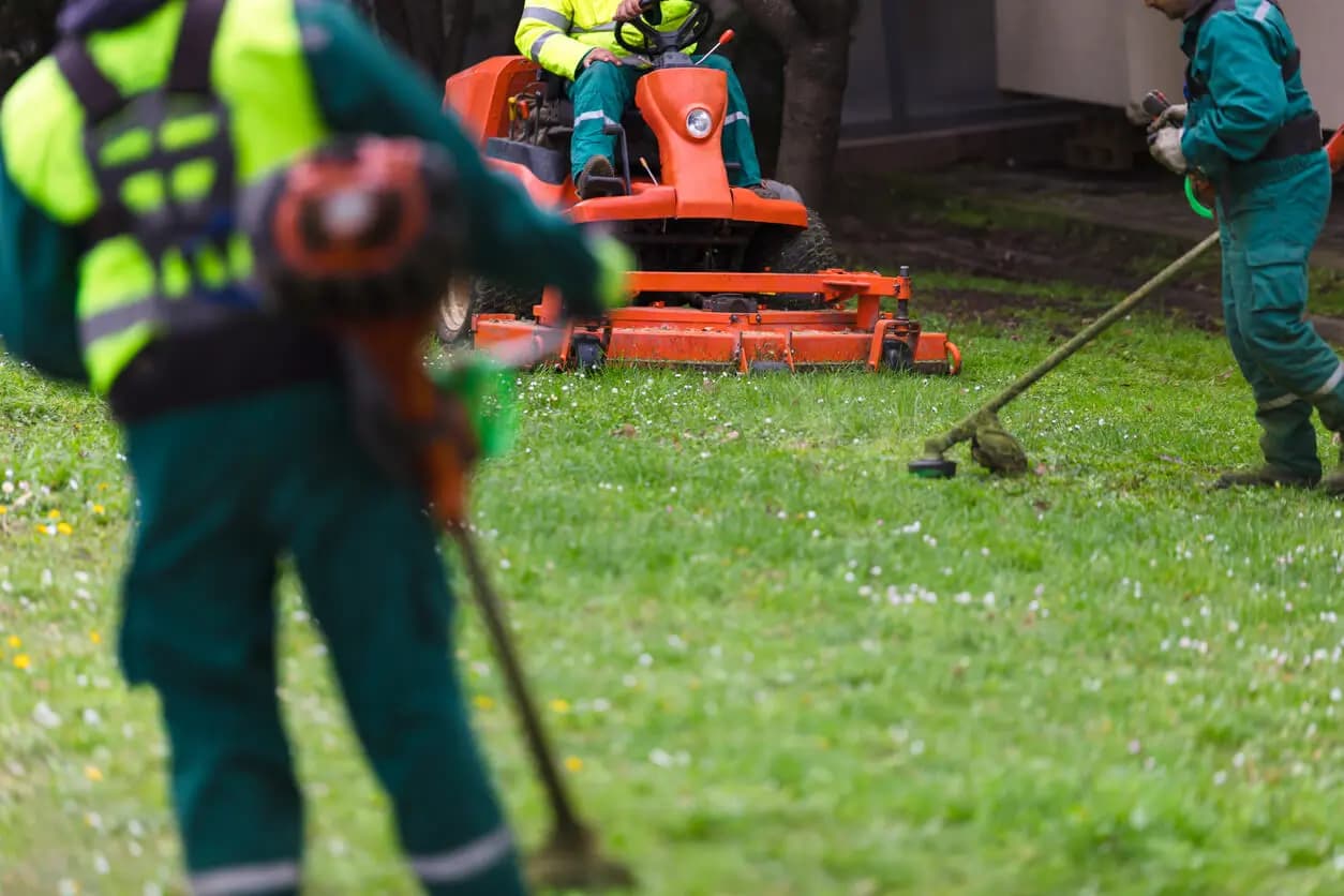 Expert Turf Cleaners How Earth Clean Company Elevates Your Lawn Care