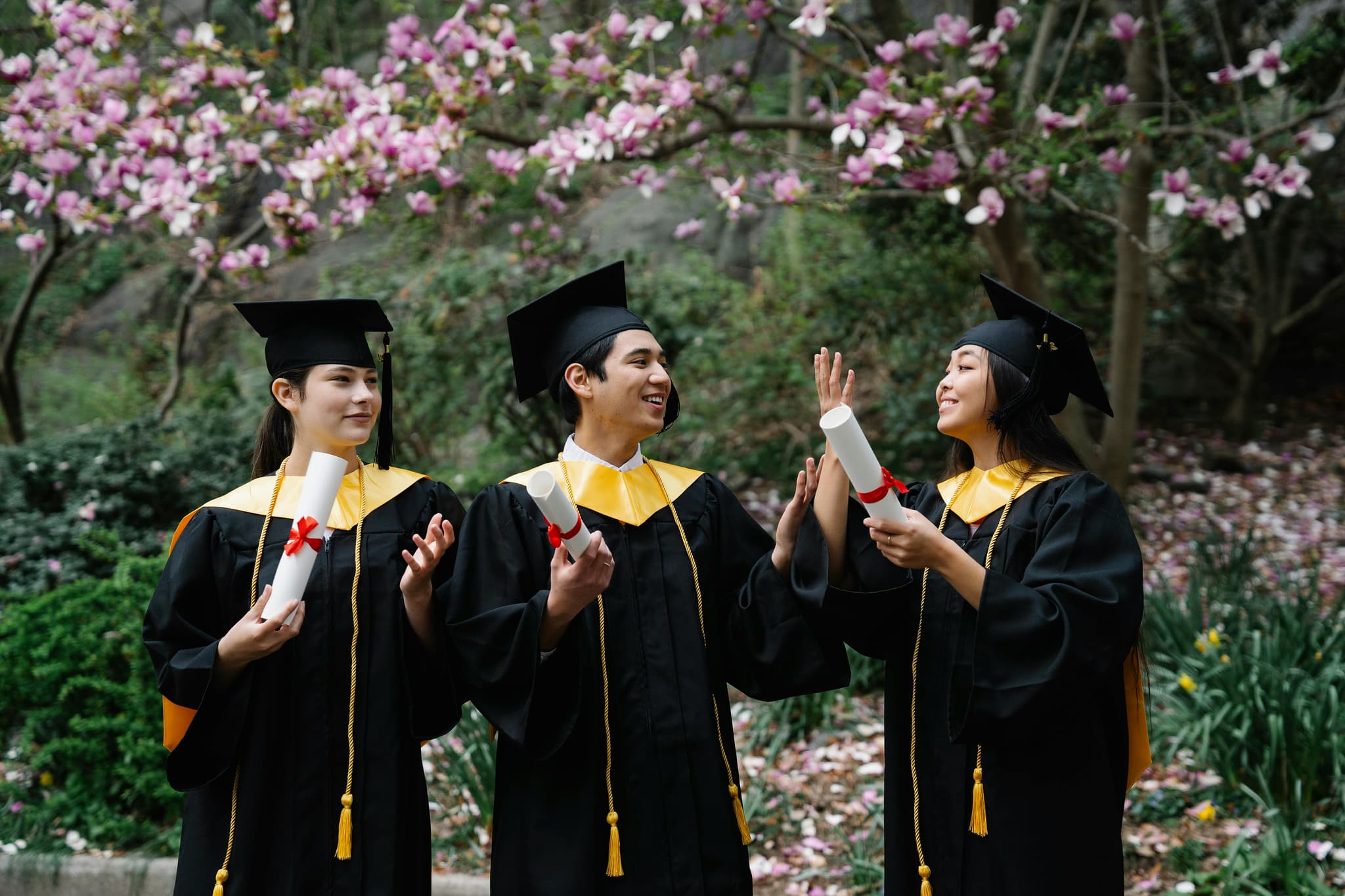How to Spot the Best Fake Diplomas Before Buying