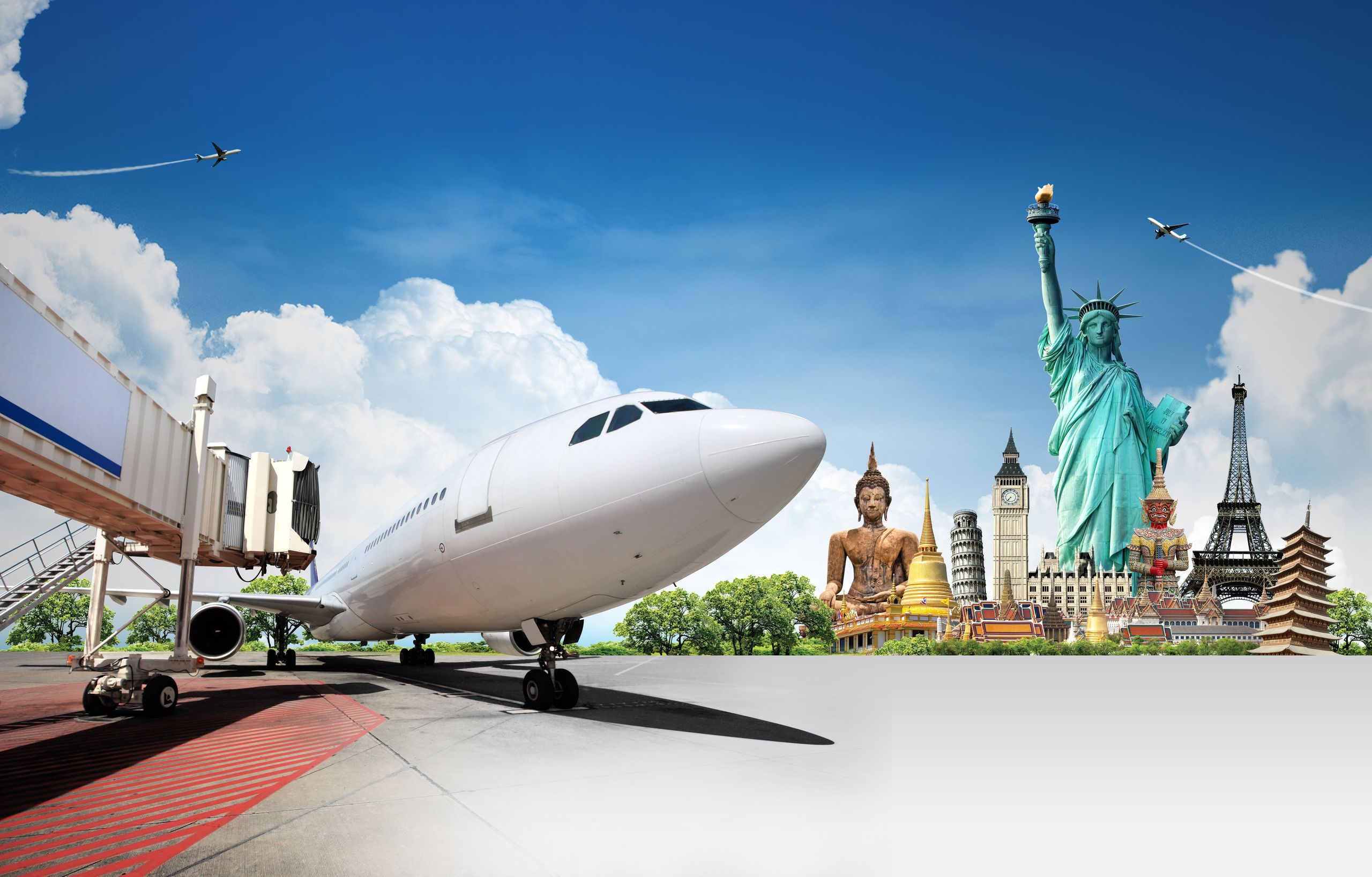 Experience the World of Travel Capybara: A Journey Beyond Borders