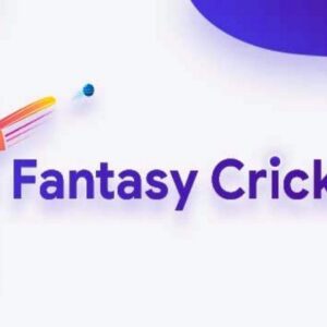 Fantasy cricket league