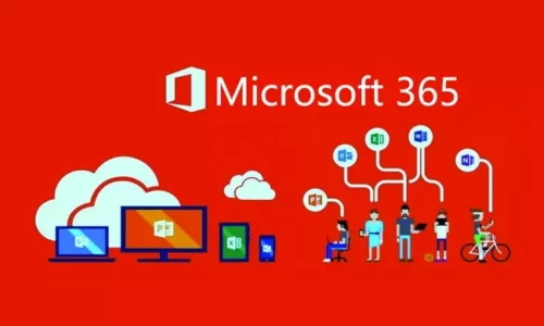 Office 365 Consulting