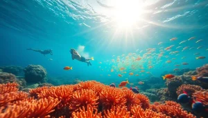 Experience snorkeling adventures at https://egypt-snorkeling.com with vibrant coral reefs and diverse marine life.