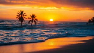 Capture the beauty of https://myrtlebeachsc.com/ at sunset with waves and palm trees.